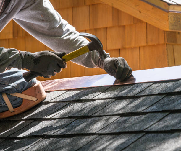 Best Roof Gutter Cleaning  in Hebron Estates, KY